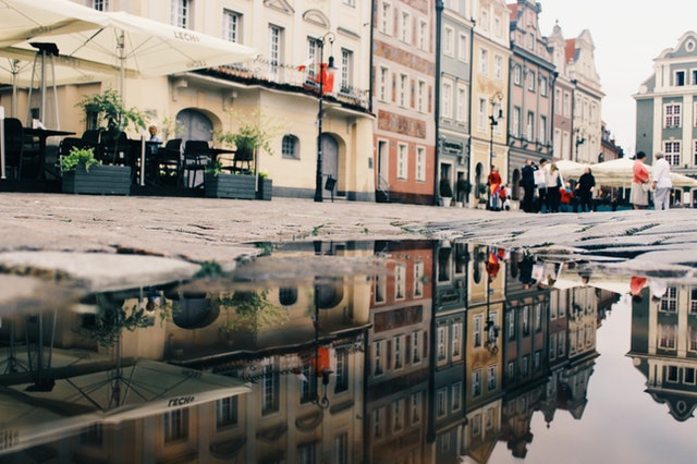 pexels-paweł-l-1249797.jpg