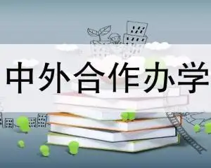 入读中外合作办学，这些你一定要知道！